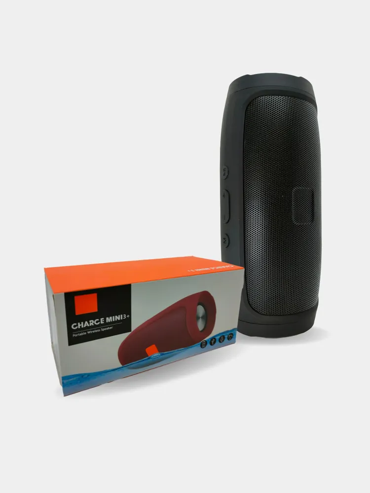 Spa ProBrush
